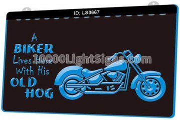 LS0667 Biker Lives Here With His Old Hog