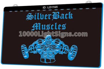 LD1165 Silver Back Muscles