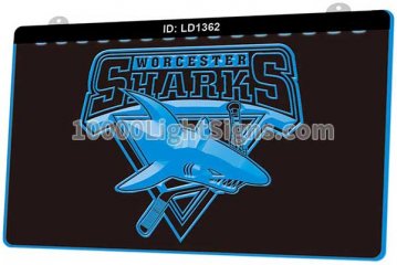 LD1362 Worcester Sharks Hockey