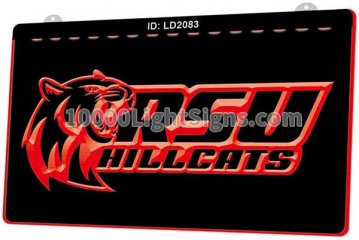 LD2083 RSU Hillcats Baseball