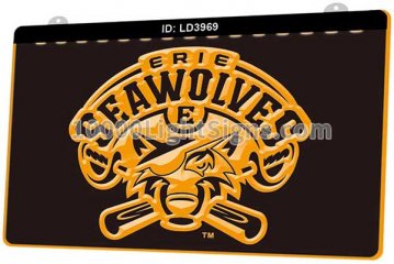 LD3969 Erie Seawolves Baseball