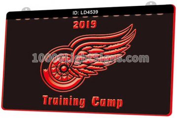 LD4539 Detriot Red Wings DET NHL Sports 2019 Truining Cump