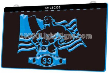 LS0333 Champion American Boxer