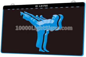LS1705 Karate Action