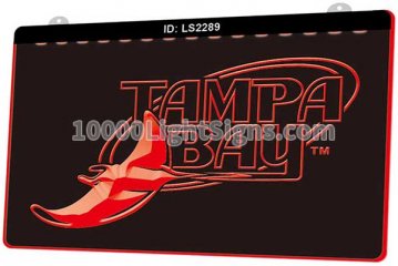 LS2289 Tampa Bay Buccaneers NFC NFL Sports