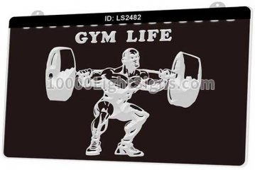 LS2482 Gym Life