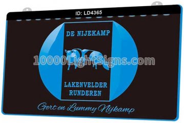 LD4365 De Nijekamp Lakenvelder Runderen