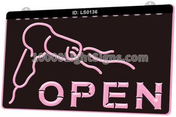 LS0136 Open Hair Saloon Hair Dryer