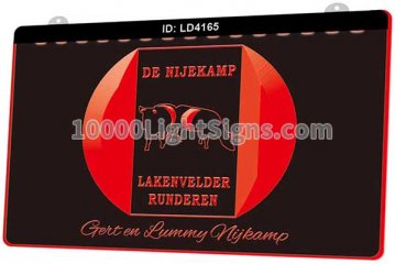 LD4165 De Nijekamp Lakenvelder Runderen