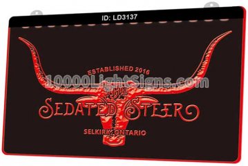 LD3137 Steer Head Texas Longhorn Sedated Steer Selkirk Ontario