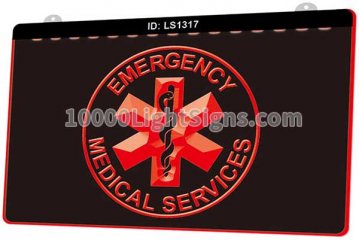 LS1317 Emergency Medical Services