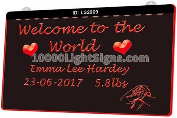 LS2969 Welcome To THe World Love