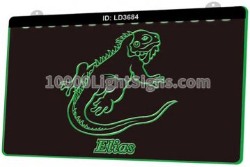 LD3684 Green Iguana Elias