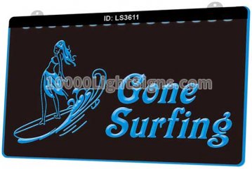 LS3611 Gone Surfing