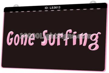LS3613 Gone Surfing