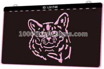 LS1748 Somali Cat Pet Shop