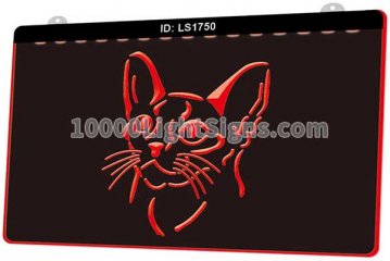 LS1750 Abyssinian Cat Pet Shop Gift Cute