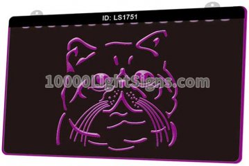 LS1751 Exotic Shorthair Cat Breed Pet Shop