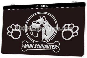 LS1862 Mini Schnauzer Dog Pet Shop