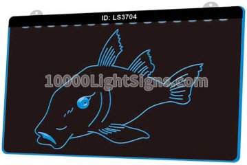 LS3704 Fish