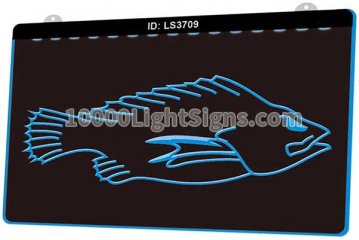 LS3709 Fish