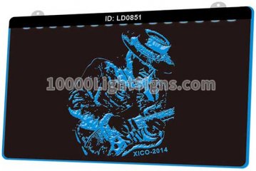 LD0851 Stevie Ray Vaughan Musician