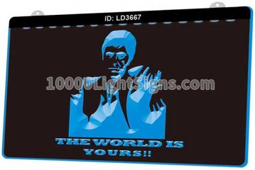 LD3667 Scarface The World Is Yours