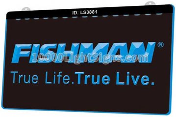 LS3881 Fishman Guitars