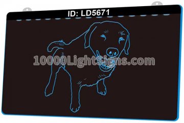 LD5671 Dog Pet