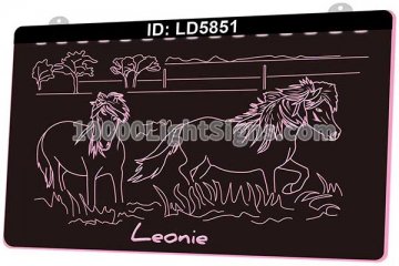 LD5851 Horse Leonie