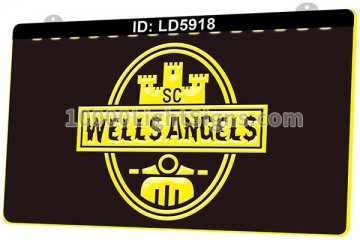 LD5918 Wellsangels