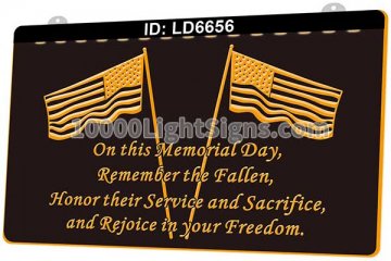 LD6656 US Flag Fallen Freedom