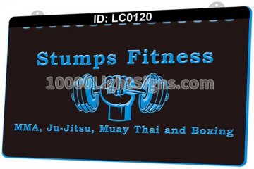 LC0120 Stumps Fitness Boxing