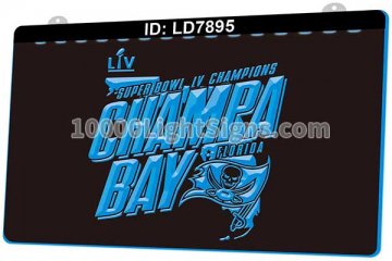 LD7895 Tampa Bay Buccaneers NFC NFL Sports Super Bowl Champions