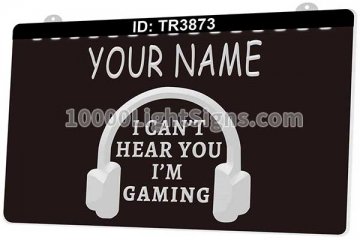 TR3873 Your Name I Cant Hear You Im Gaming