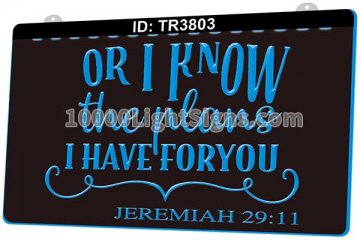 TR3803 Or I Know the Plans I Have for You