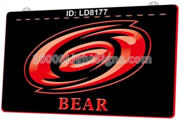LD8177 Carolina Hurricanes Ice Hockey Bear